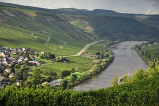 Champagner-Flaschengrößen: warum die Magnum anders reift