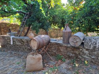 Herstellung von Rosé-Champagner in sieben Schritten